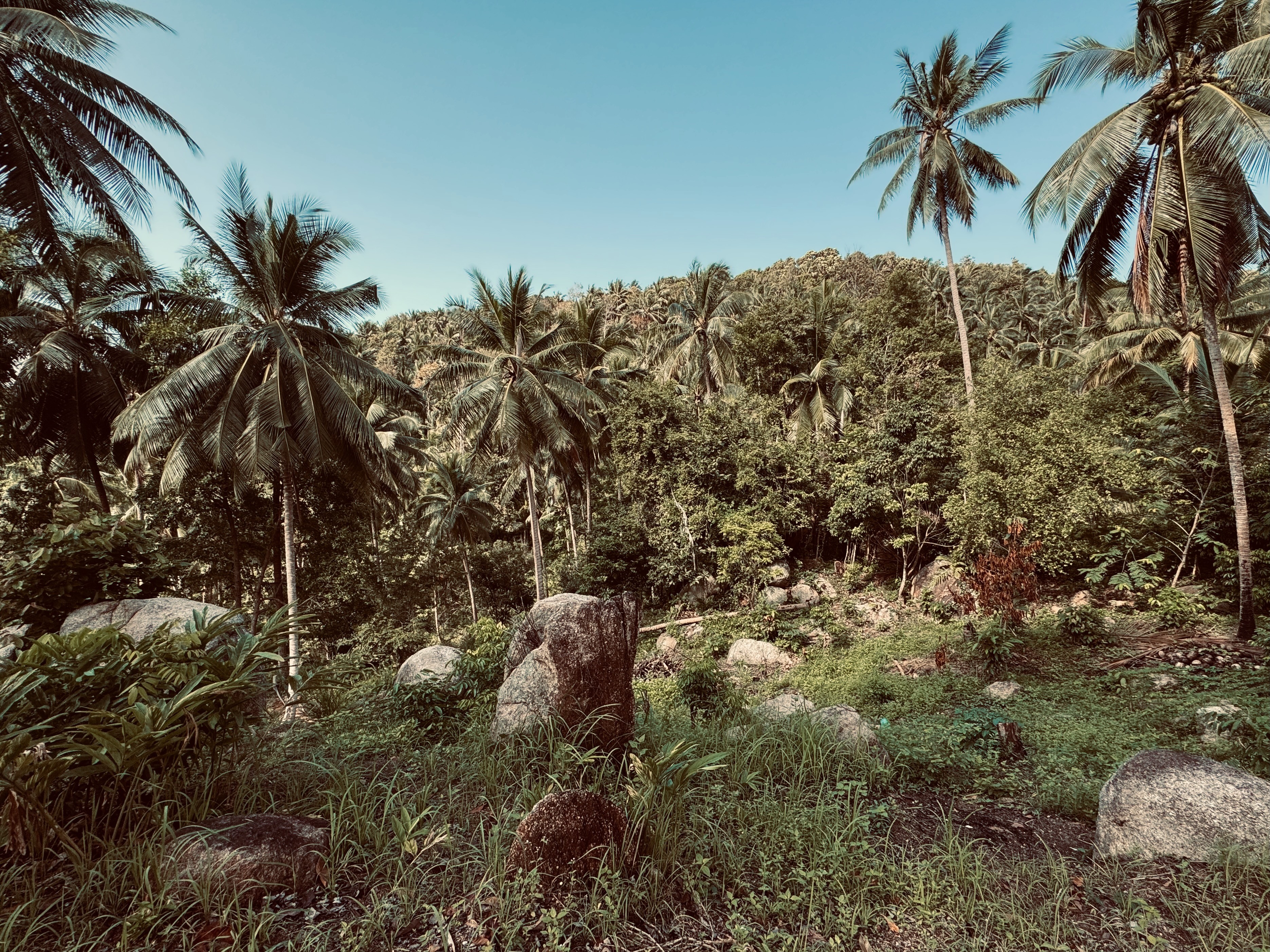 Headshot of a young woman
