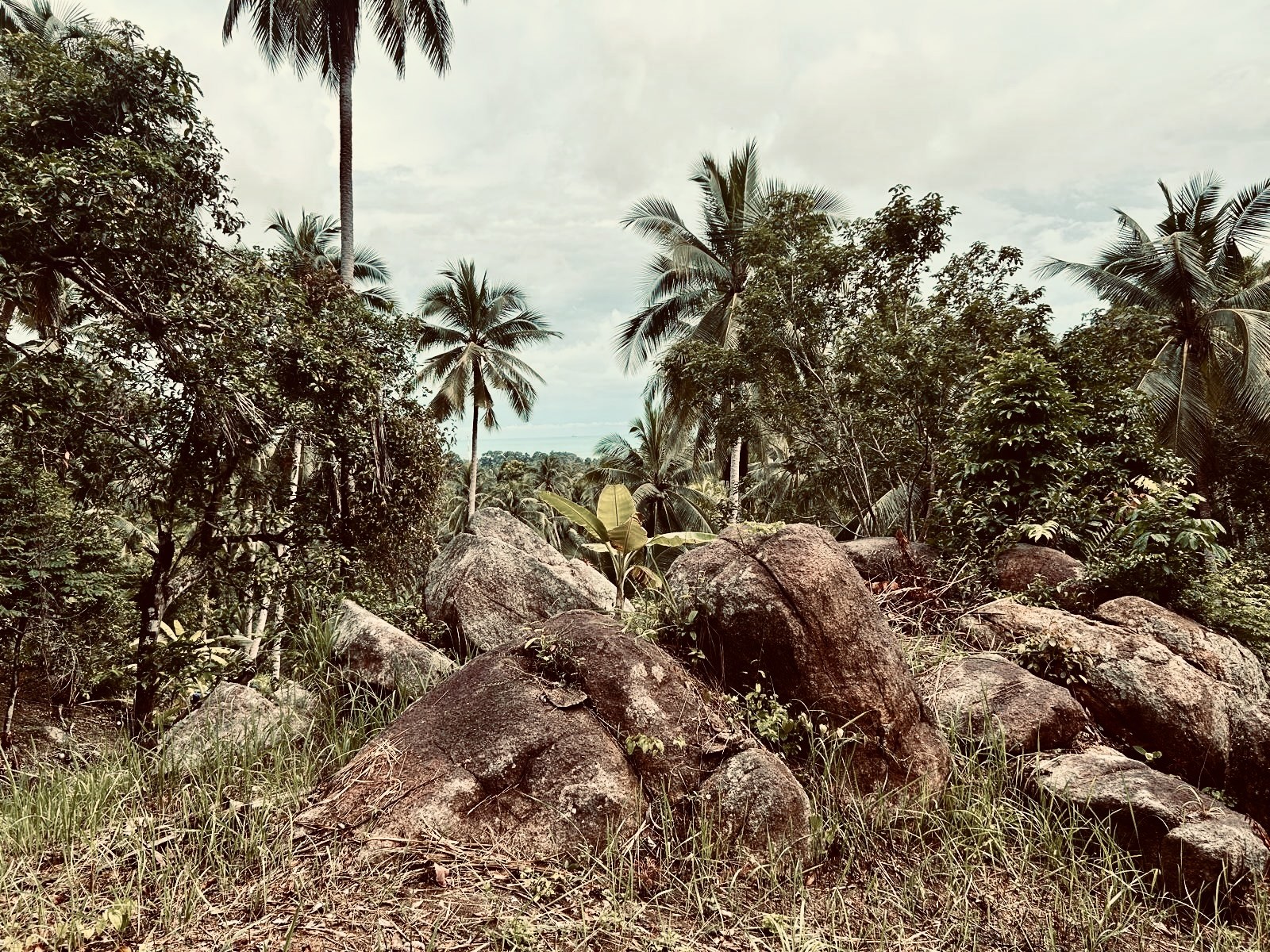 Headshot of a young woman